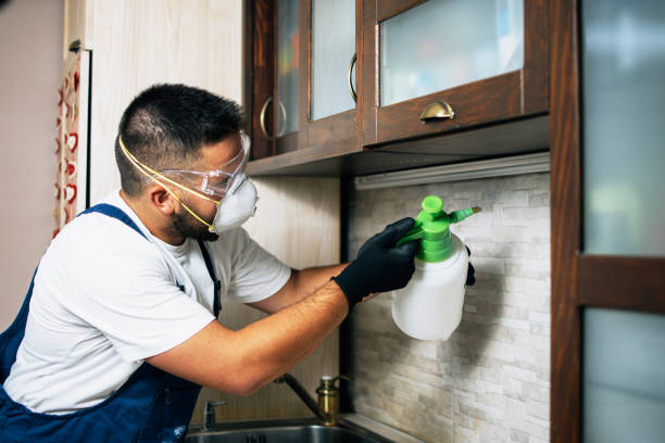 Best Mosquito Control Services  in Trail Creek, IN