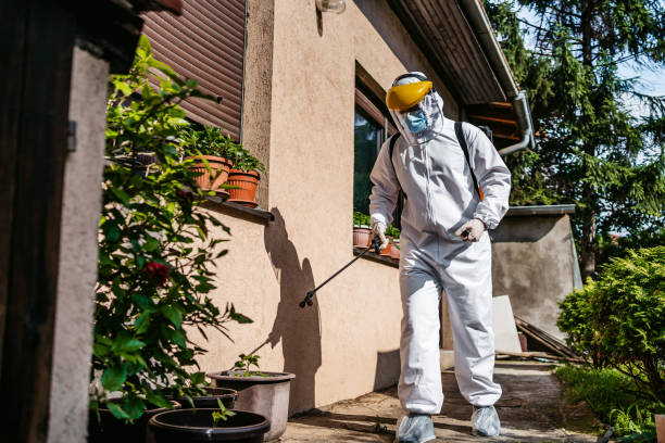 Best Exterminator Services  in Trail Creek, IN