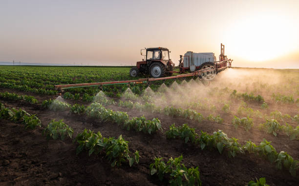 Best Pest Removal Services  in Trail Creek, IN