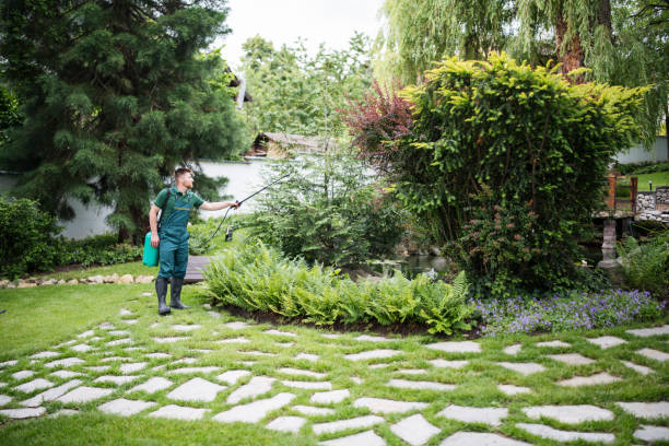 Best Pest Control Treatment  in Trail Creek, IN