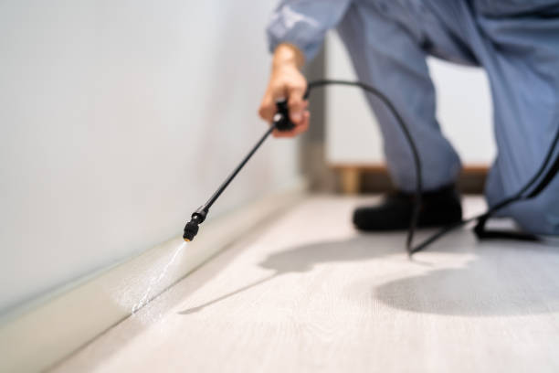 Best Wasp Removal Services  in Trail Creek, IN