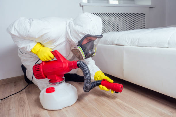 Flea Control Services in Trail Creek, IN