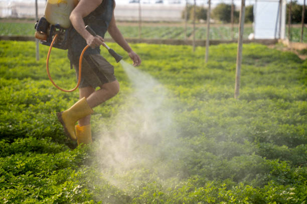 Best Best Pest Control Companies  in Trail Creek, IN
