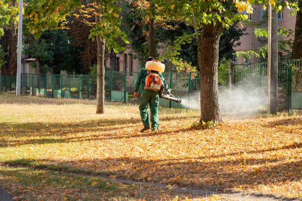 Best Insect Control  in Trail Creek, IN