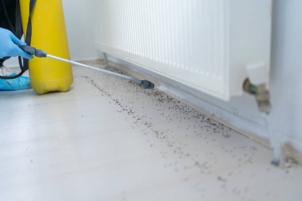 Best Cockroach Control Services  in Trail Creek, IN